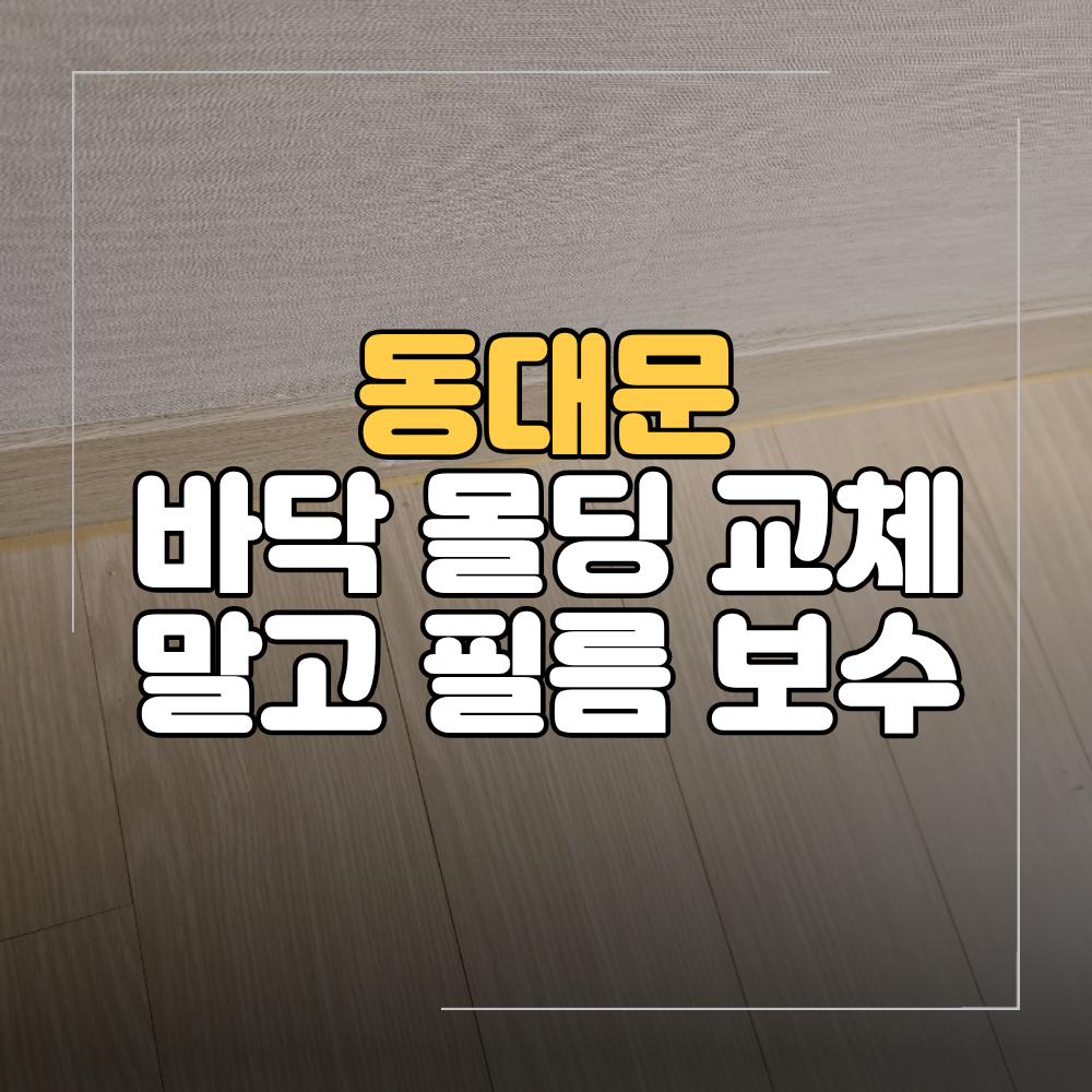 동대문 깨진 바닥 몰딩 교체 필름 보수 부분 복원 가능한 경우